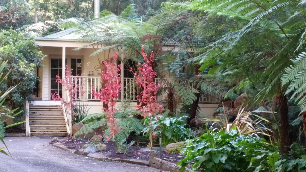 hotels with balcony in Healesville