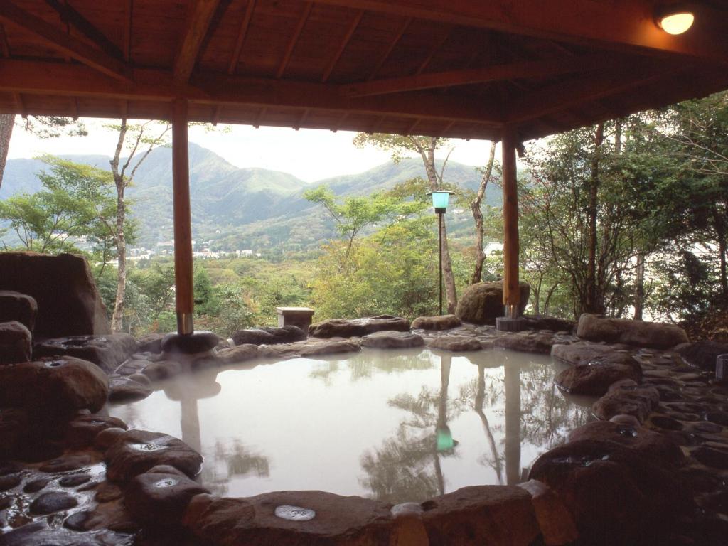 hotels with balcony in Hakone