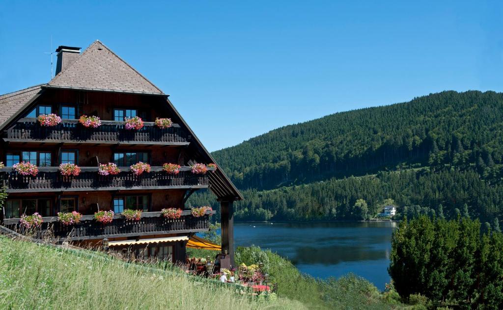 hotels with balcony in Titisee Neustadt