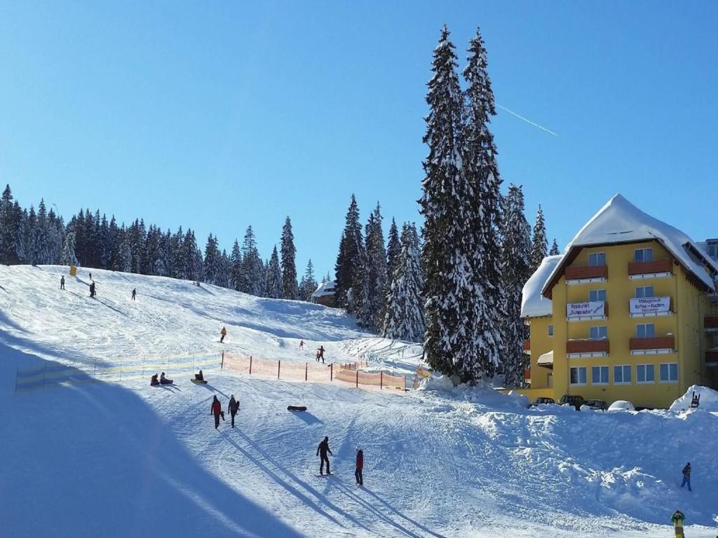 hotels with balcony in Feldberg