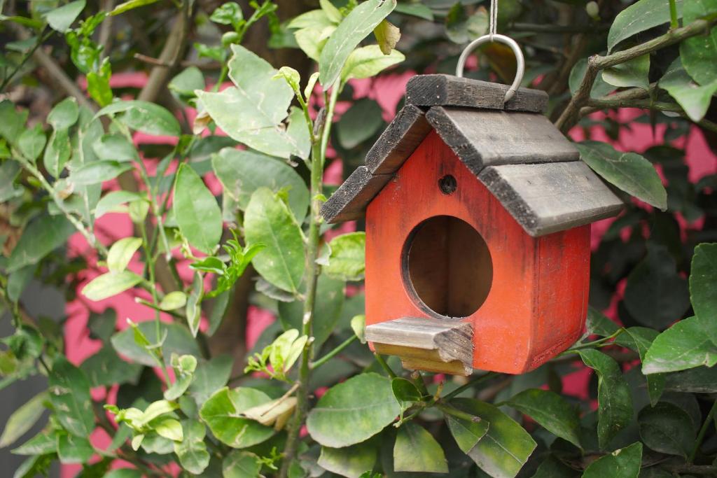 hotels with balcony in Mexico City Del Valle