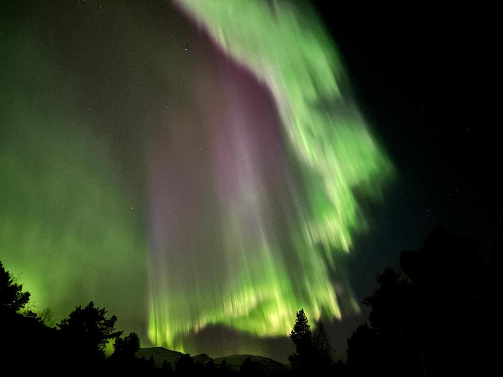 hotels with balcony in Troms