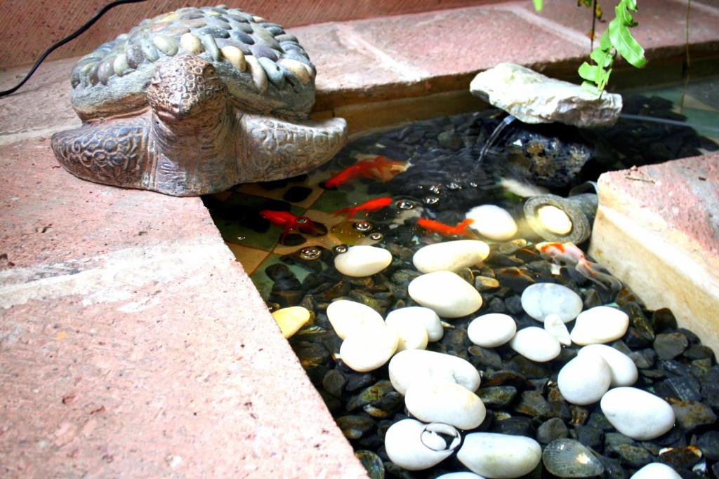 hotels with balcony in Queretaro Mexico