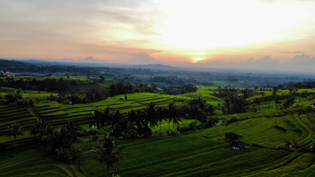 hotels with balcony in Jatiluwih