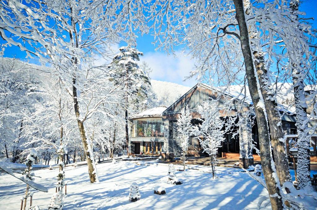 hotels with balcony in Hakuba