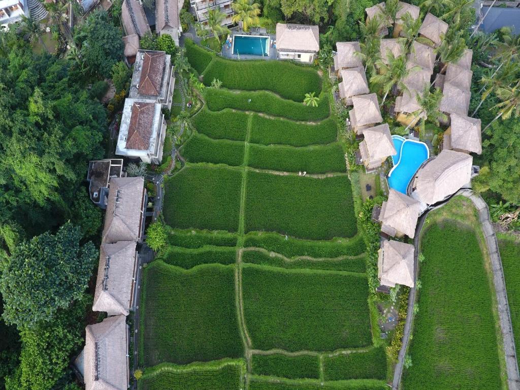 hotels with balcony in Ubud