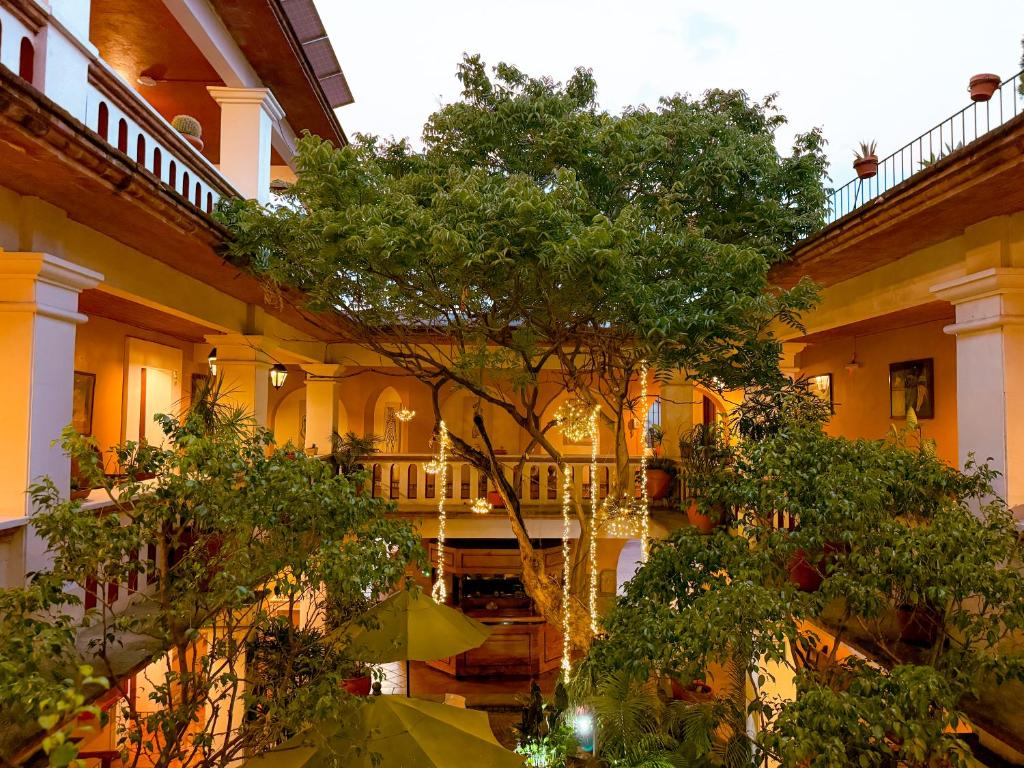 hotels with balcony in Oaxaca De Juarez Jardin Etnobotanico De Oaxaca