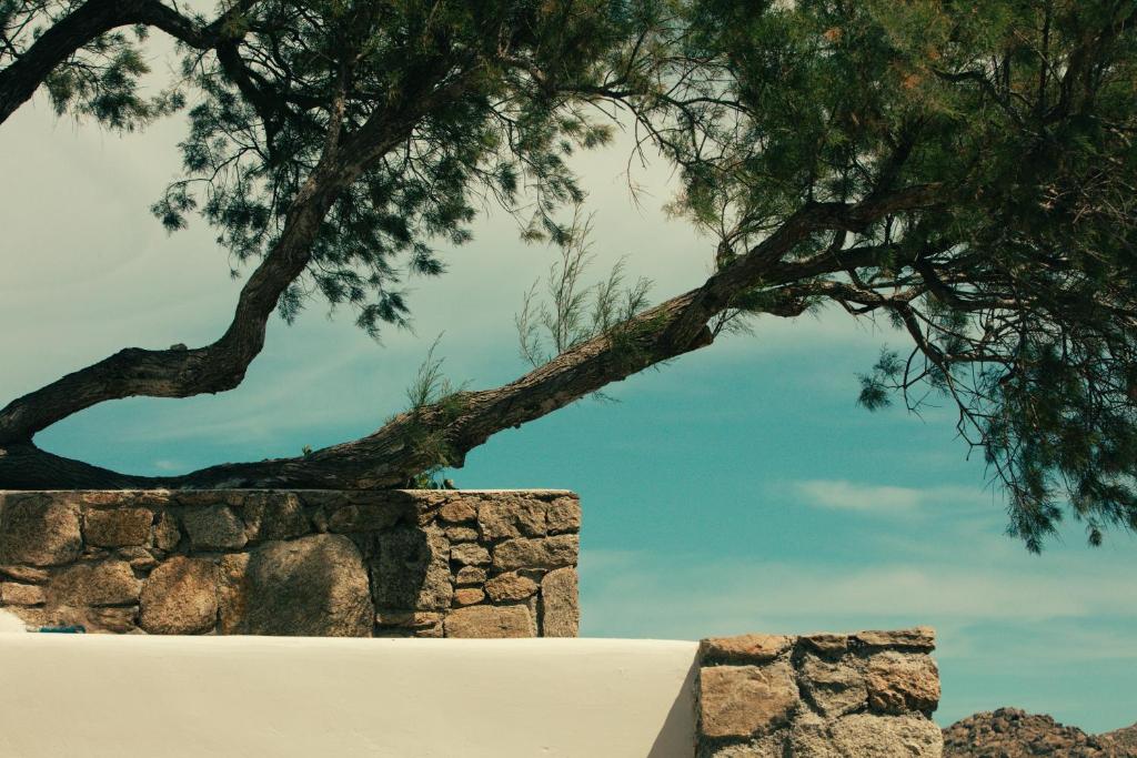 hotels with balcony in Mykonos