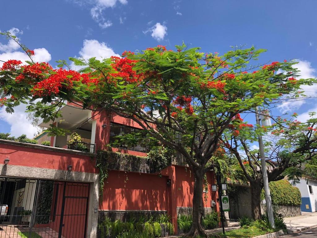 hotels with balcony in San Salvador