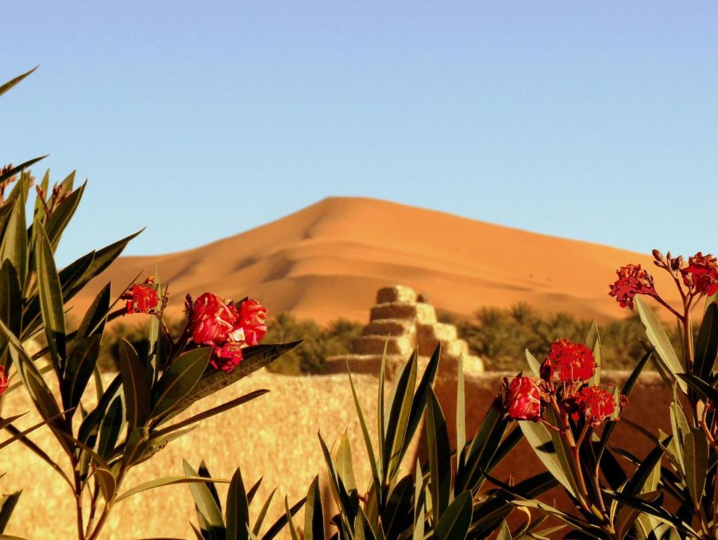 hotels with balcony in Merzouga