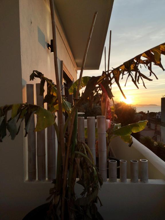 hotels with balcony in Procida