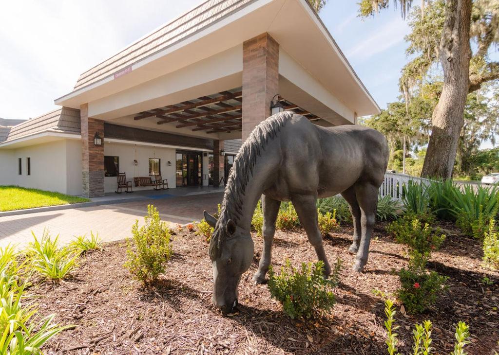 hotels with balcony in Ocala