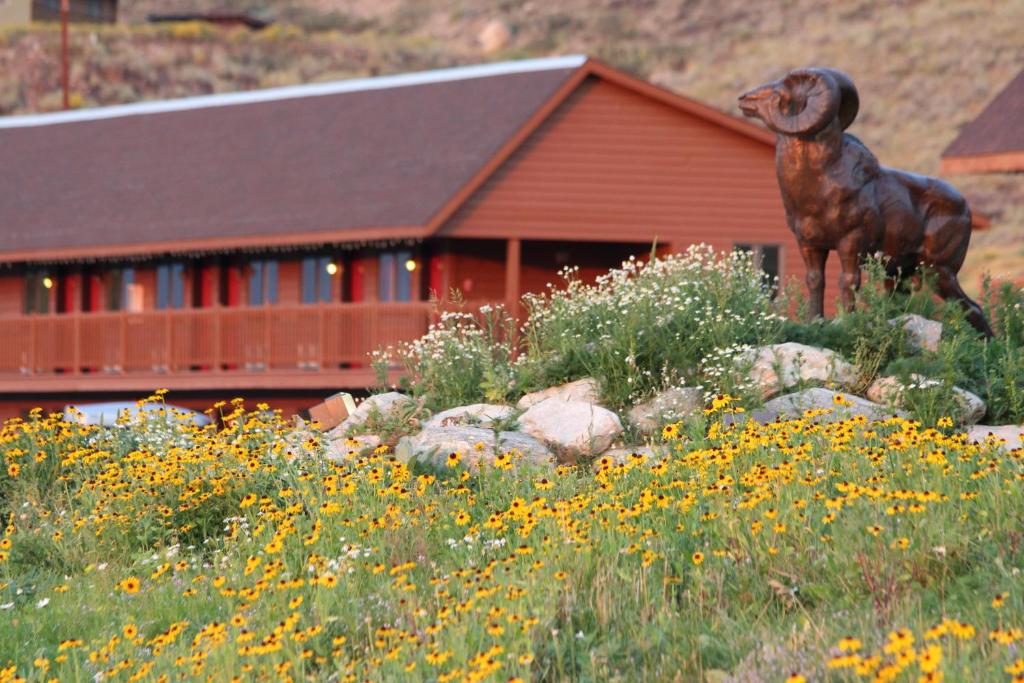 hotels with balcony in Jackson Hole