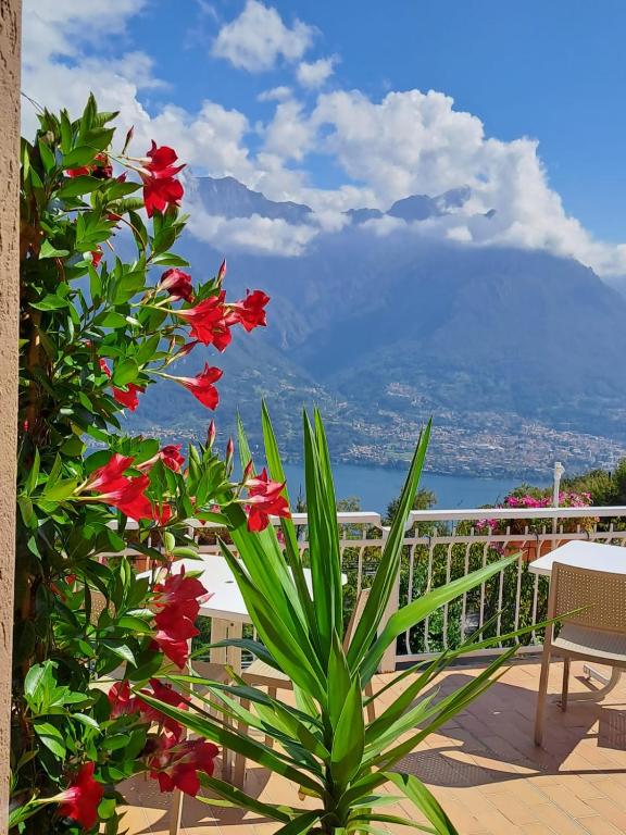 hotels with balcony in Bellagio