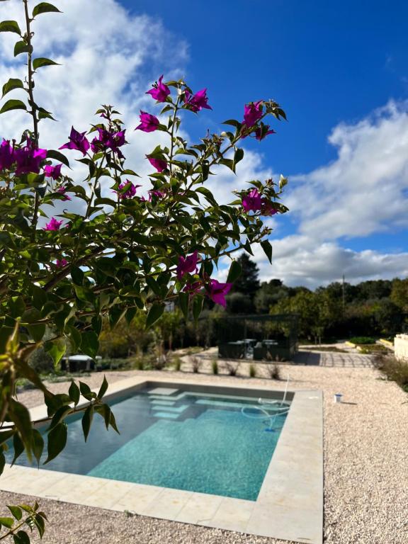 hotels with balcony in Martina Franca