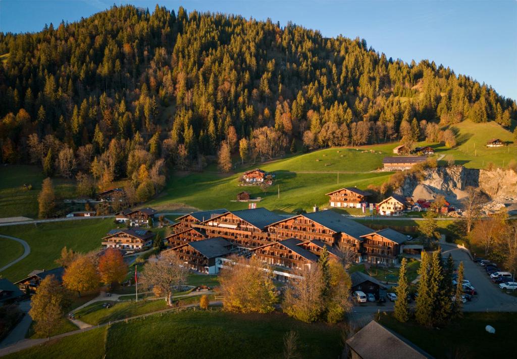 hotels with balcony in Gstaad