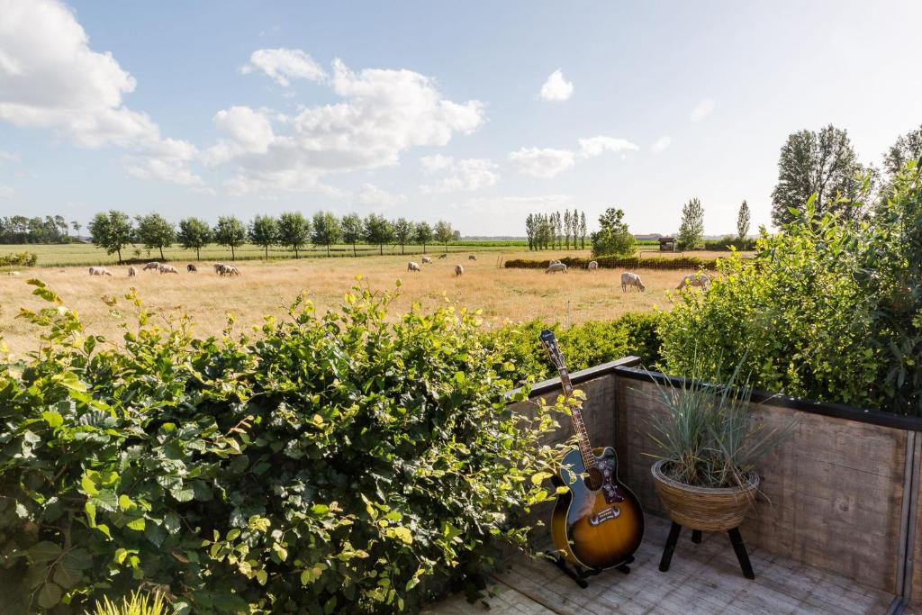 hotels with balcony in Middelburg