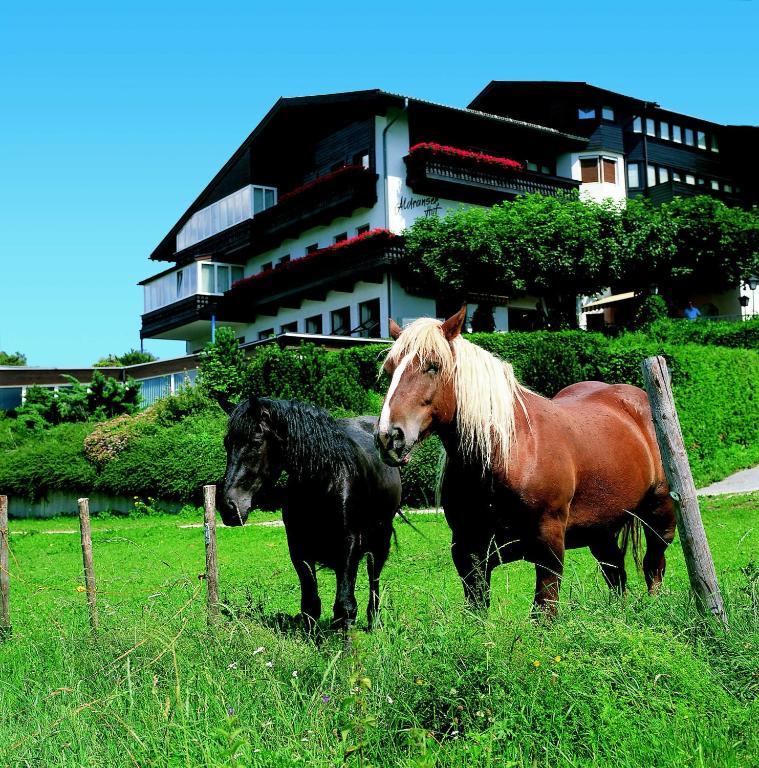 hotels with balcony in Innsbruck Hungerburg Hoheninnsbruck