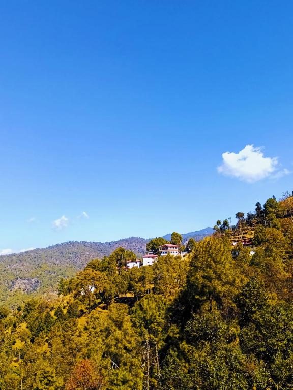 hotels with balcony in Almora