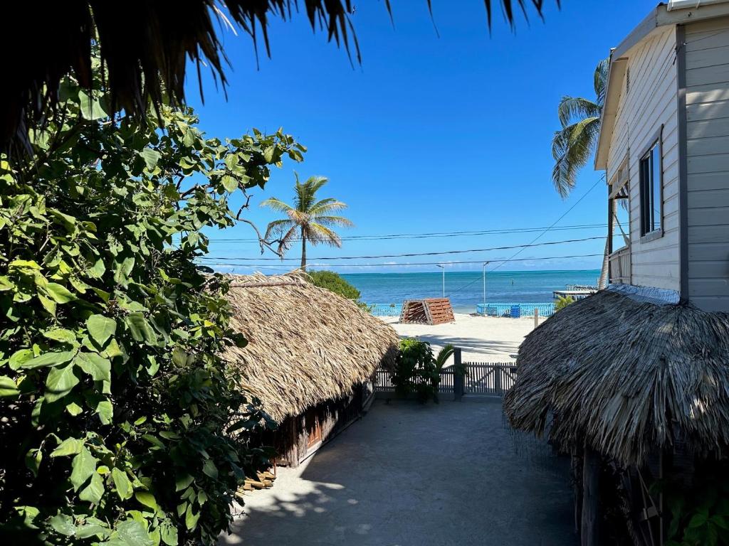 hotels with balcony in Caye Corker